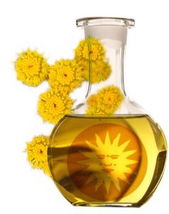 Chamomile Essential Oil (Santolina Chamaecyparissus)