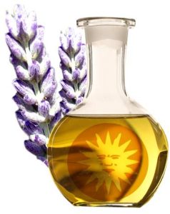 Spike Lavender Essence (Lavandula Spica)