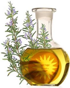 Producer of Spanish Rosemary Essential Oil (Rosmarinus Officinalis)