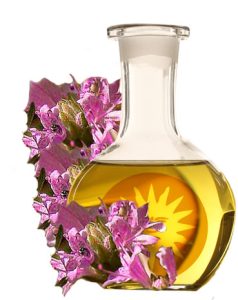 Origanum Essential Oil (Coridothymus Capitatus) - Esencia de tomillo carrasqueño oregano español